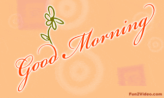 morning GIF