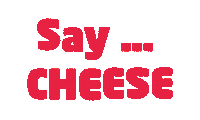 Say Cheese Sticker by von Mende Marketing