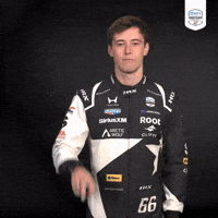 Indy 500 Peace Sign GIF by INDYCAR