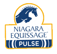 Niagaraequissage goodvibrations equissagepulse niagaraequissagepulse horsetherapy Sticker