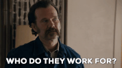 season 2 GIF by Get Shorty