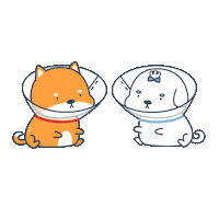 Heart Love Sticker