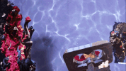 stop motion biology GIF by Massive Science