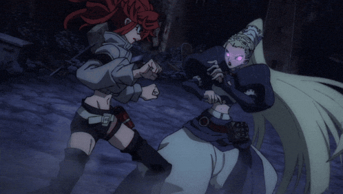 Fight Girls GIF