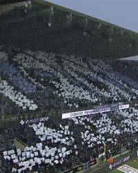 Tifo GIF by Club Brugge
