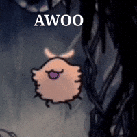 Hollow Knight GIF