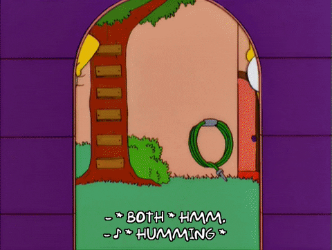 homer simpson GIF