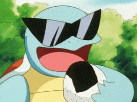 Pokemon GIF by giphydiscovery