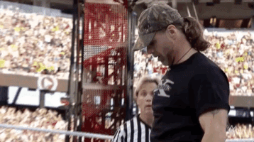 shawn michaels wrestling GIF by WWE