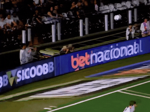 Ze Rafael Santos GIF by Rick DSGNR