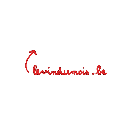 levindumois giphyupload Sticker