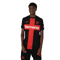 Bayer 04 Win Sticker by Bayer 04 Leverkusen