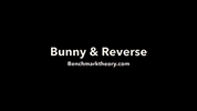 bunny bmt- GIF by benchmarktheory