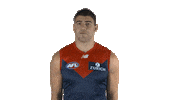 melbourne football club thumbs up Sticker by Melbournefc