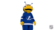 Happy Tampa Bay Lightning GIF by NHL