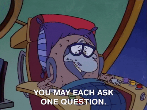 rockos modern life nicksplat GIF