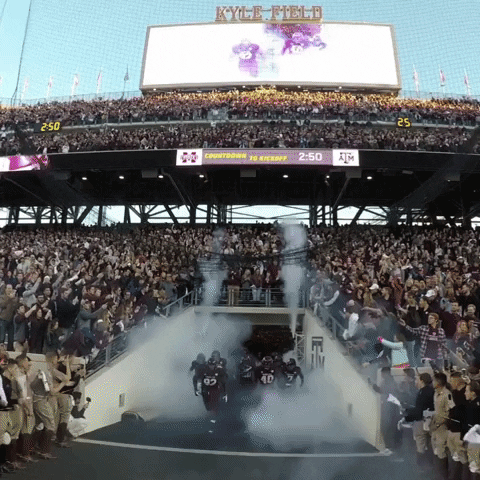 texas am running GIF by Texas A&M University
