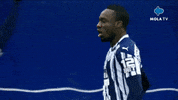 Happy Fun GIF by MolaTV