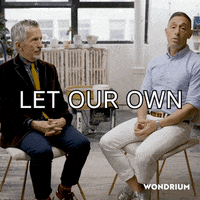 Wondrium rainbow pride flag fly GIF