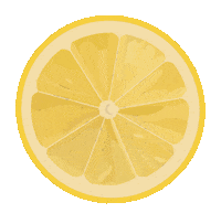 Fruit Lemon Sticker