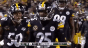 Pittsburgh Steelers Football GIF by NFL