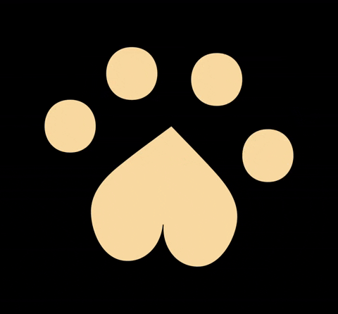 Dog Heart GIF by wellpet