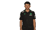 Hannover96 H96 Sticker by Bundesliga