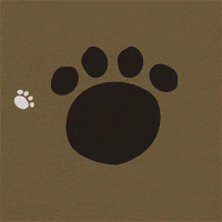 The Lion King Animation GIF