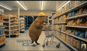 Shopping Looking GIF