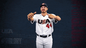 Pro GIF by USA Baseball