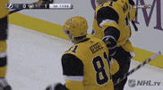 nhl sports sport hockey nhl GIF