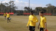 western sydney wanderers laughing GIF by wswanderersfc