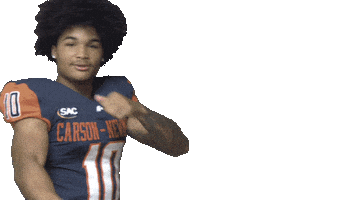 Football Sport Sticker by Carson-Newman Athletics
