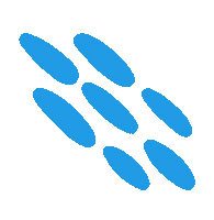 Flowers Leaf Sticker