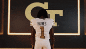 Georgia Tech Football Sport GIF by Georgia Tech Yellow Jackets