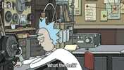 Rick And Morty Wtf GIF by Adult Swim