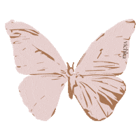 Butterfly Mariposa Sticker by Vichka