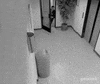 Season 2 Running GIF by The Office