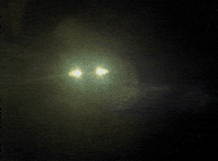 Speeding On My Way GIF by Tomorrow Television