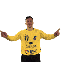 Germany Bundesliga Sticker by 1. VFL Potsdam
