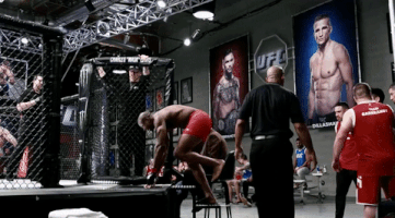 the ultimate fighter ufc GIF