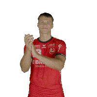 Handball Handballbundesliga Sticker by MT Melsungen