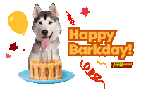 UniversalRobinaCorporation doggo pupper dogmom dog dad Sticker