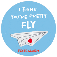 Fly Compliment GIF by FLYERALARM