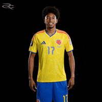Fifa World Cup Colombia GIF by Respective