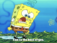 season 2 episode 13 GIF by SpongeBob SquarePants