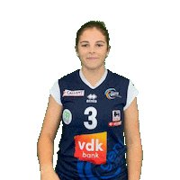 Volleyball Sticker by vdk Gent Damesvolley
