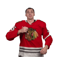 Logo Jersey Sticker by NHLBlackhawks