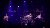 네미시스 GIF