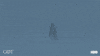 Prepare Season 7 GIF by Game of Thrones